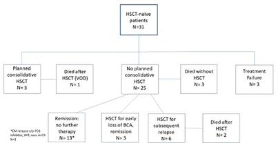 Post CAR T-cell therapy outcomes and management in HSCT-naive patients: a single-center experience